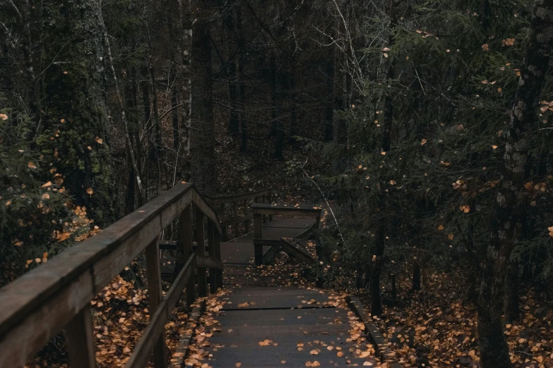 an empty wooden bridge in the middle of an forest