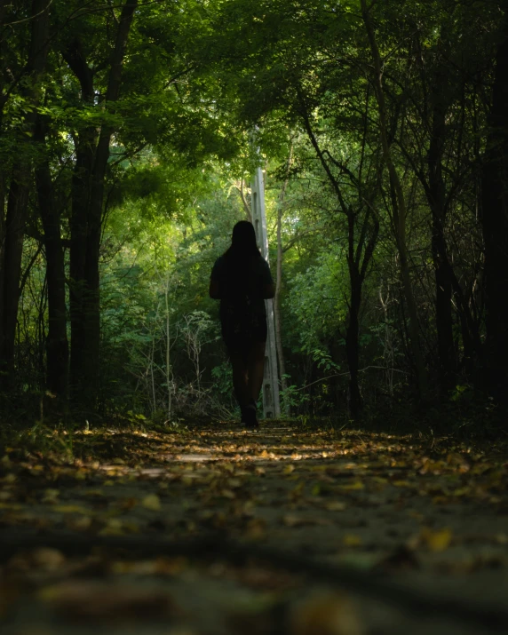 a person walking down a pathway between many trees