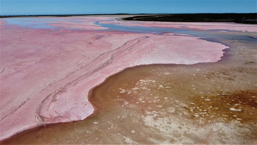 the color pink is so intense that it gives a ton of a pink color