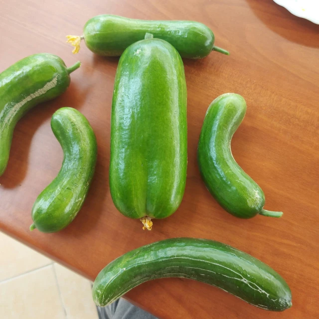 green gourds with one laying on top of another