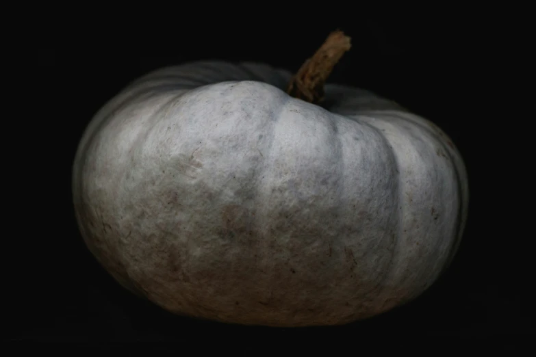 an abstract drawing of a gray pumpkin