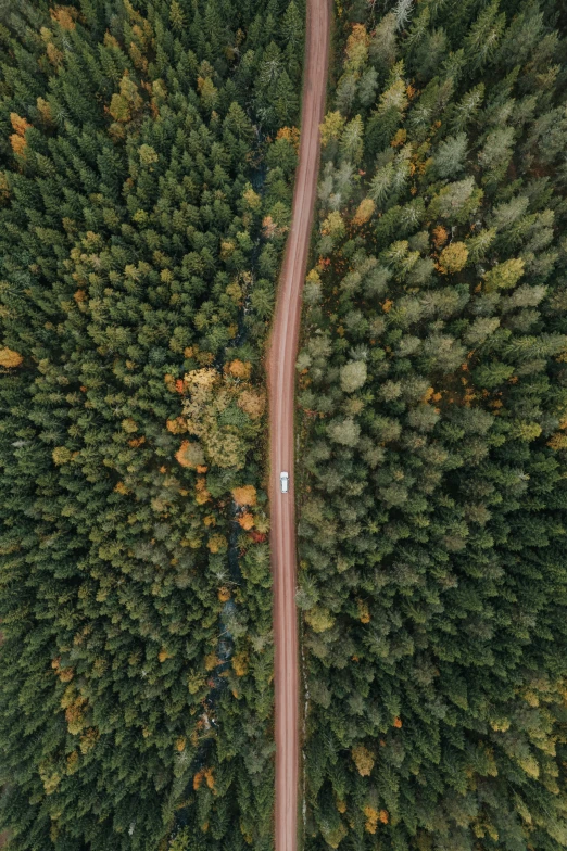 an aerial s of a road in a forest