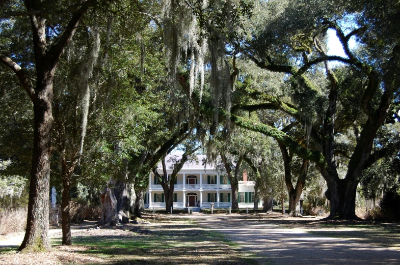 a large white house under several trees on a quiet road