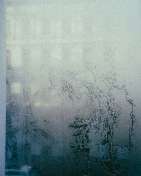 a frosted glass window with a bunch of flowers on it