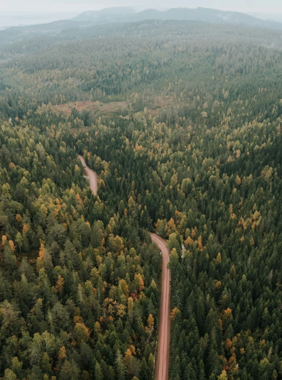 a scenic landscape, looking down at trees with a dirt road running through the middle