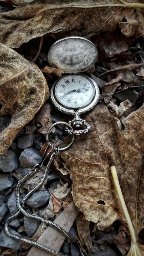 a old pocket watch is laying on the ground