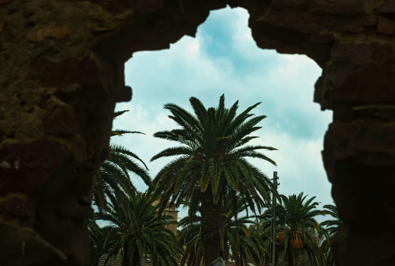 a stone structure is set in between palm trees