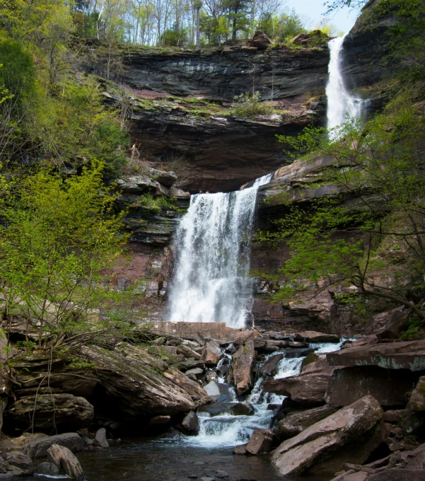 this waterfall is about a foot deep in the middle of the woods