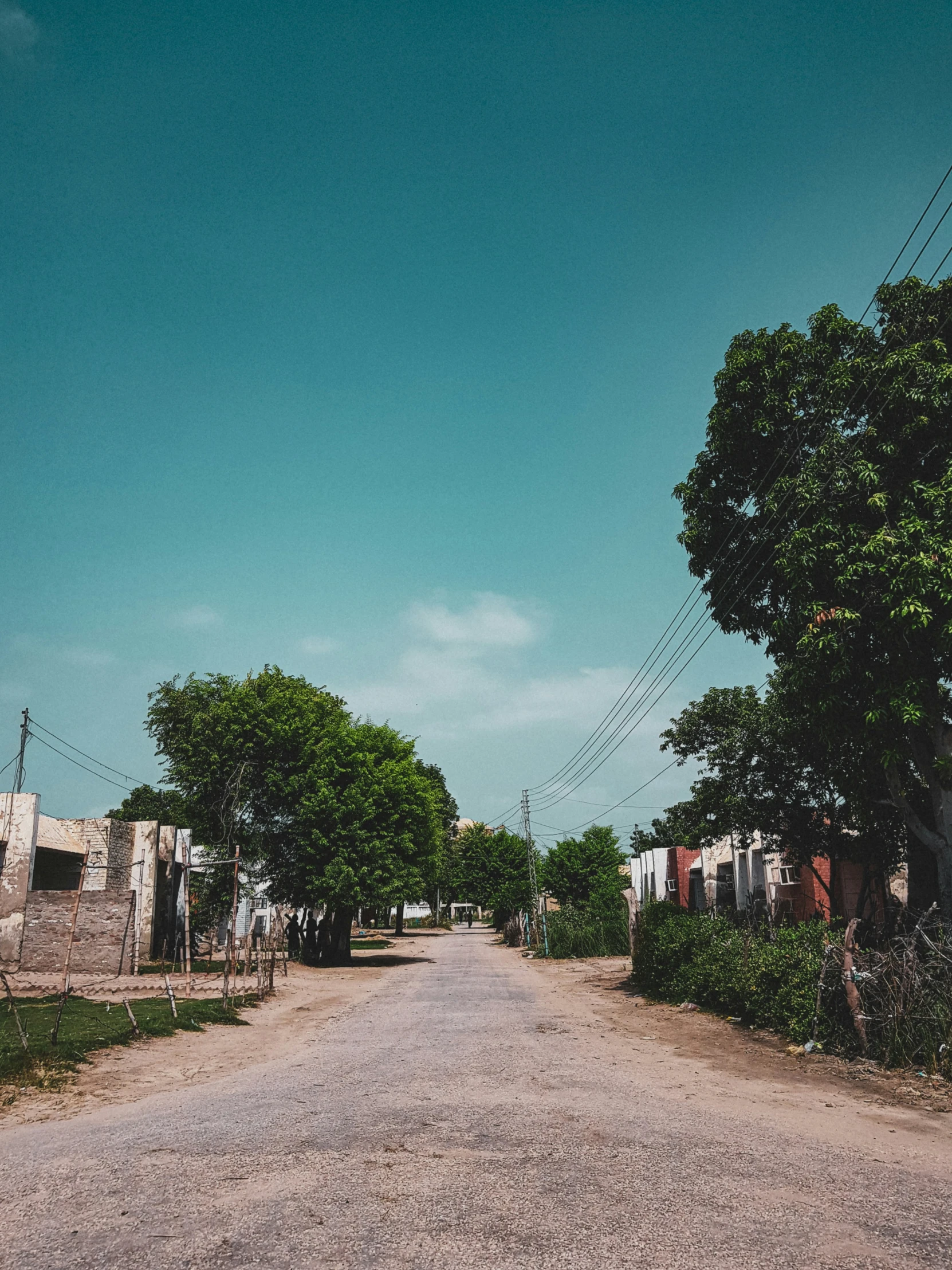 a quiet deserted street with lots of green trees