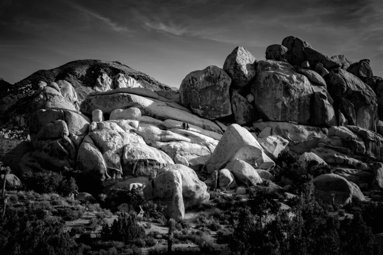 some rocks plants and bushes and the sky