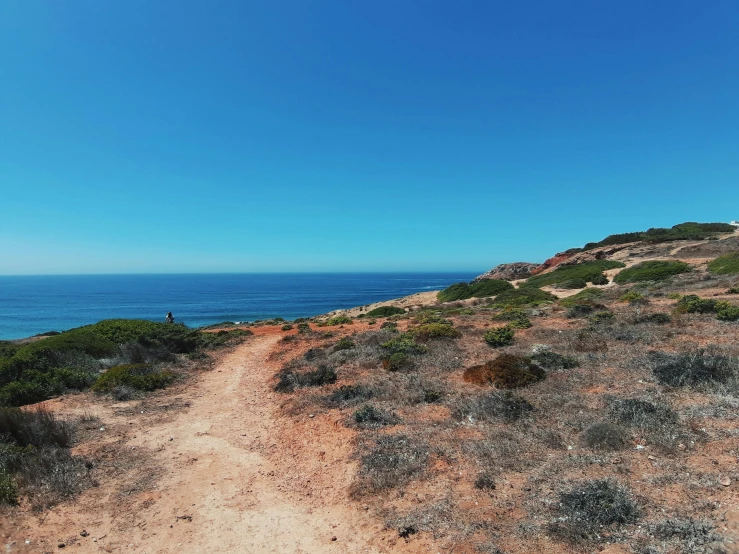 a lone person standing on the sand dunes overlooking the ocean