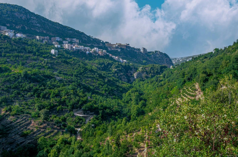 a lush green hillside under a partly cloudy sky