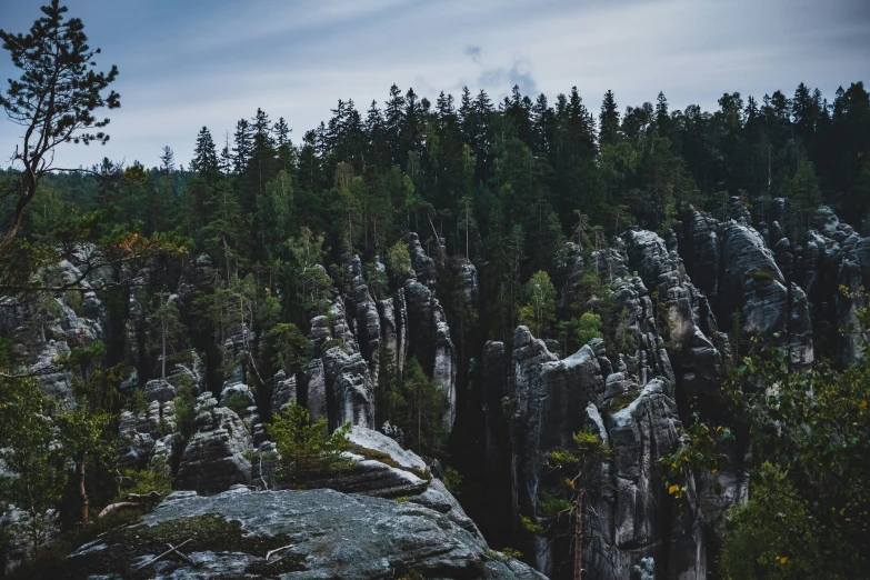 a landscape po with trees and rocks