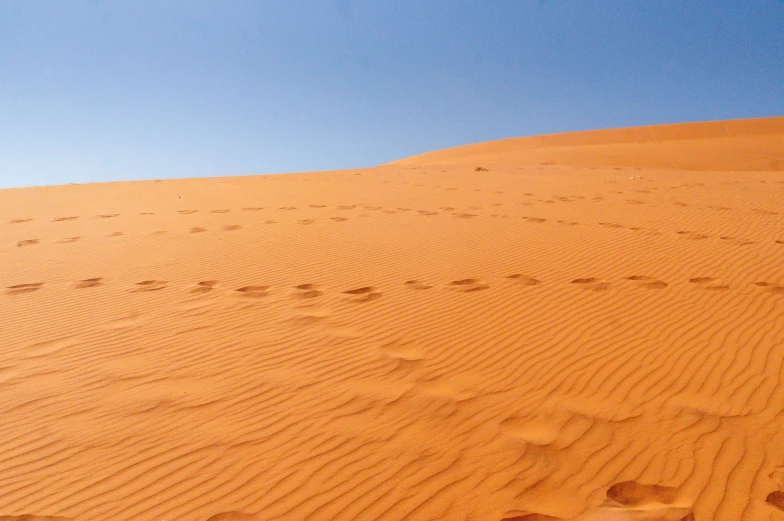 the view from the bottom of a large sand dune