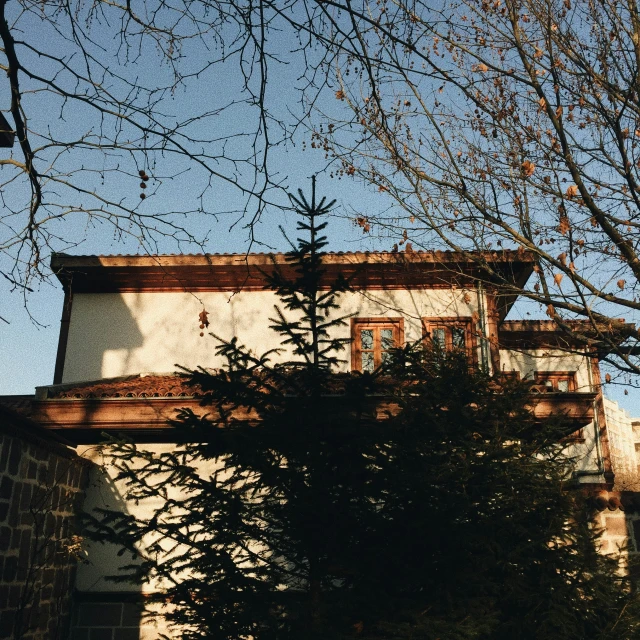 a lone tree is in front of an old building