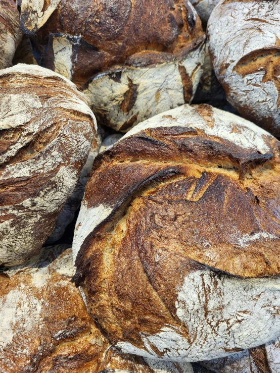 baked bread sits in a display at a store