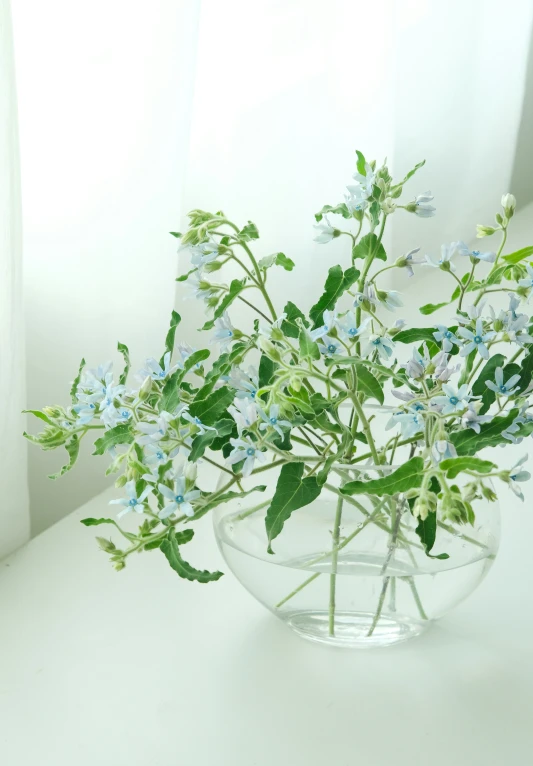 flowers are growing inside of a glass vase