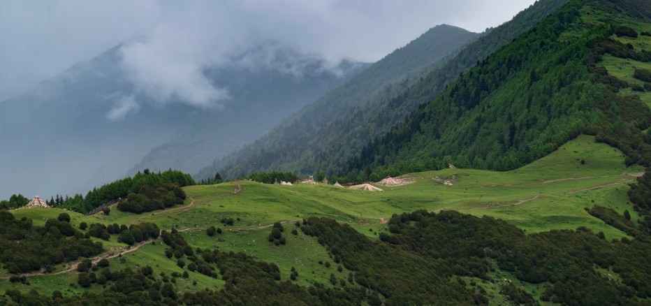 green mountains, a road and trees are shown in this aerial view