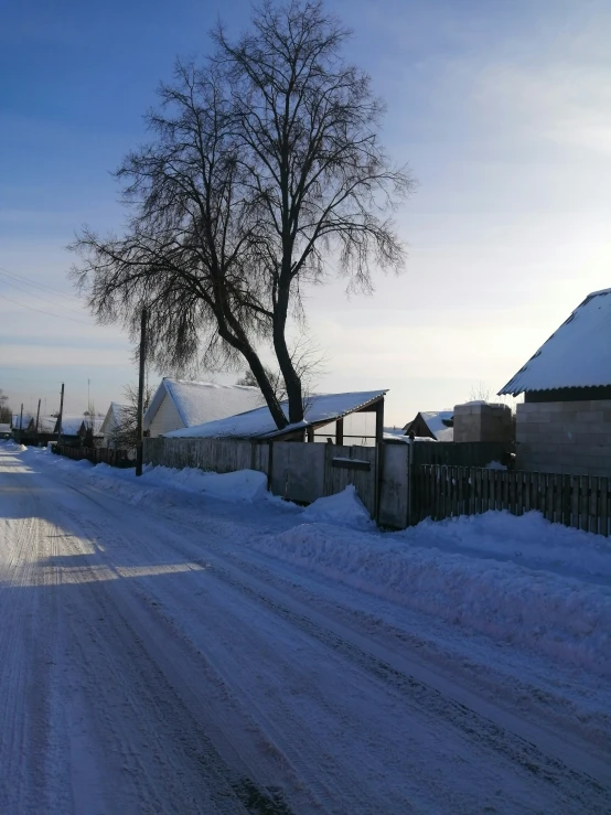 a street with a tree in the middle of it covered with snow