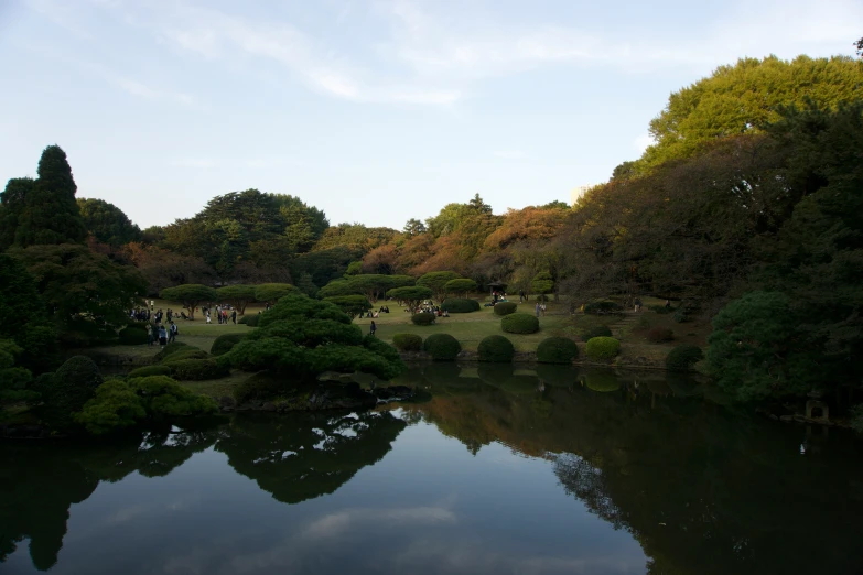 the people are standing around by the pond