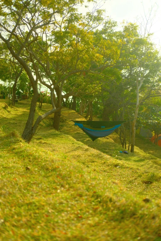 there is a hammock and some trees in the yard