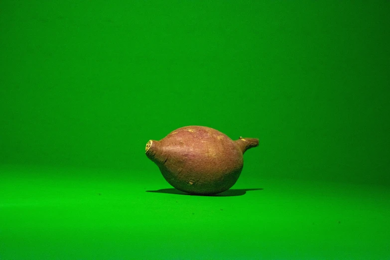 a close up s of a onion on a green background