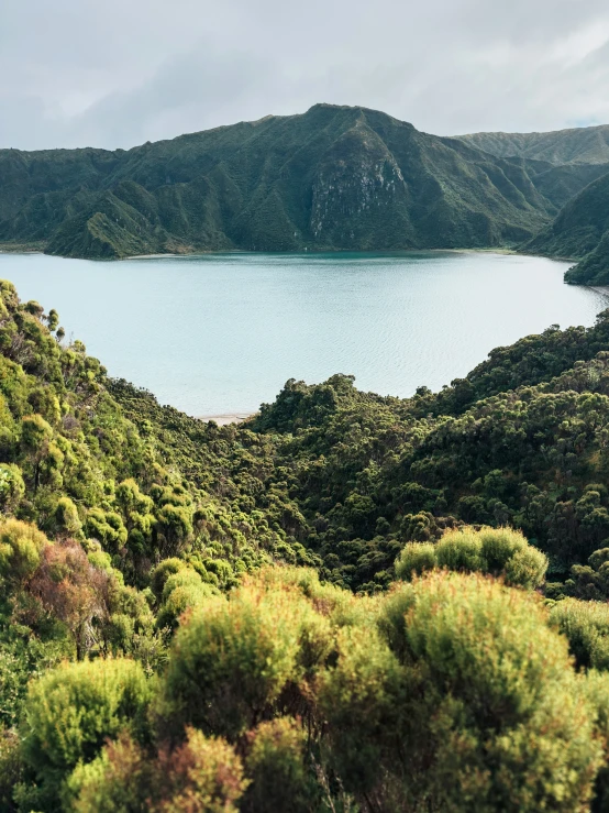 a large body of water surrounded by green trees