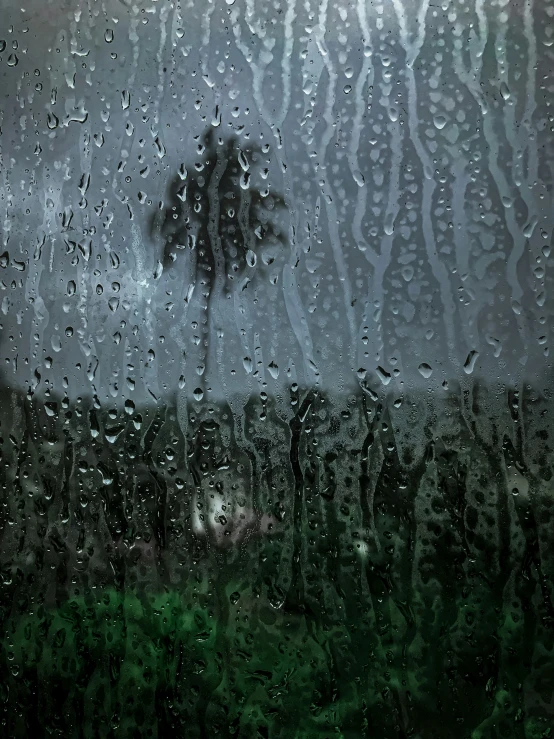 rain falling on a window showing a pine tree