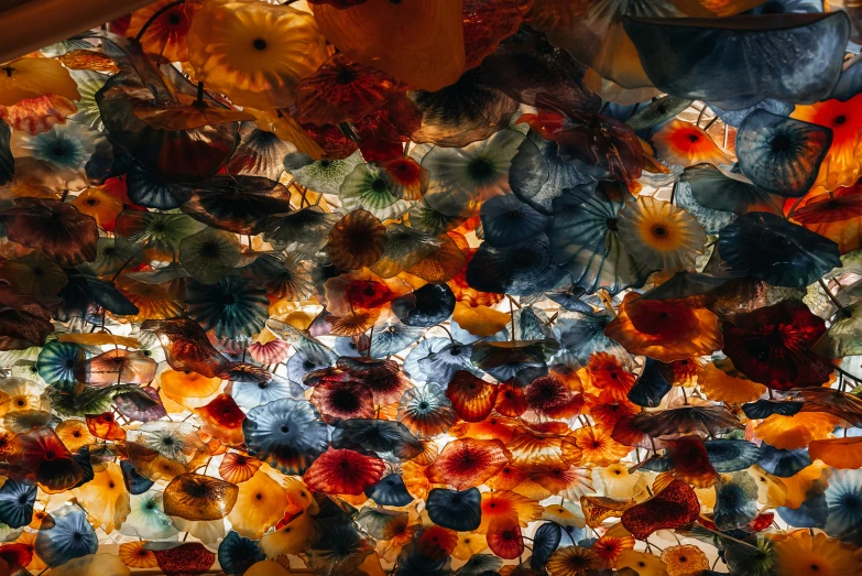 several different kinds of umbrellas in a ceiling