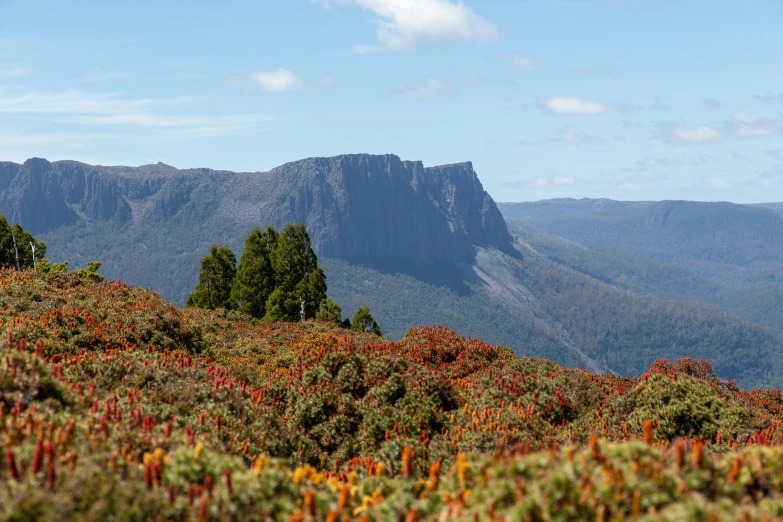 a beautiful scenic view of mountains and trees