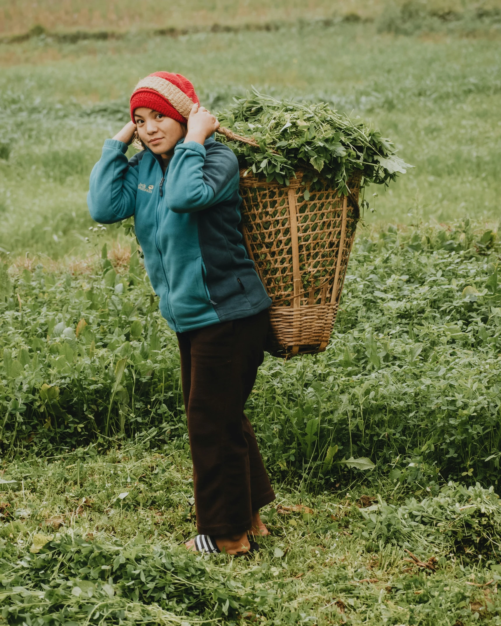 the woman carries her vegetables through a field