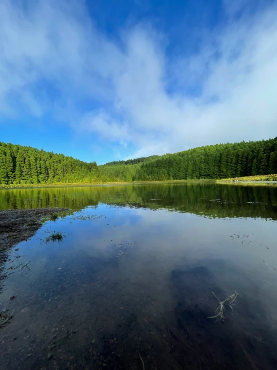 a calm lake with water and a forest behind it