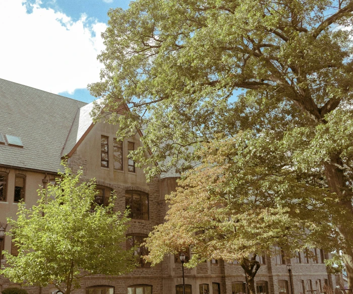 a picture of a tree in front of a building