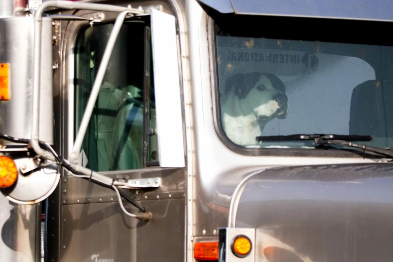 a dog sitting in the drivers seat of a silver truck