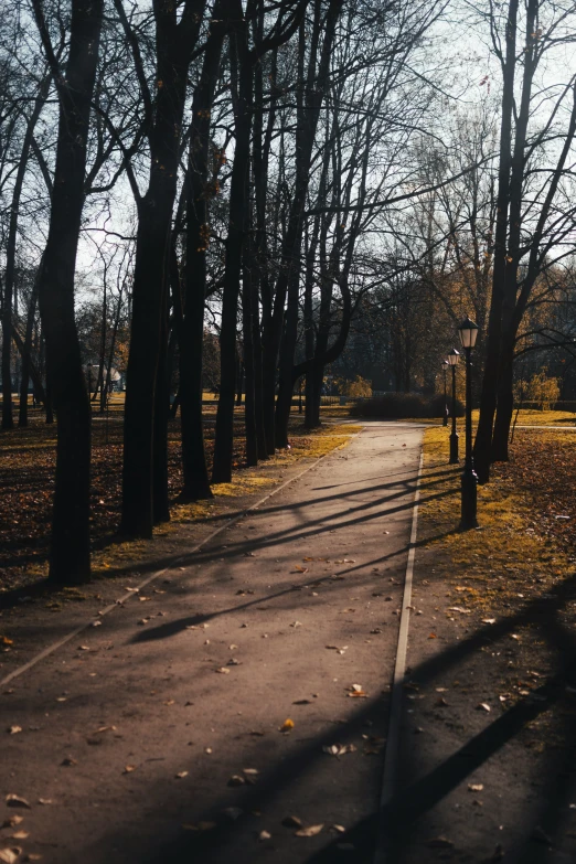 the sun is shining on a walkway in a park
