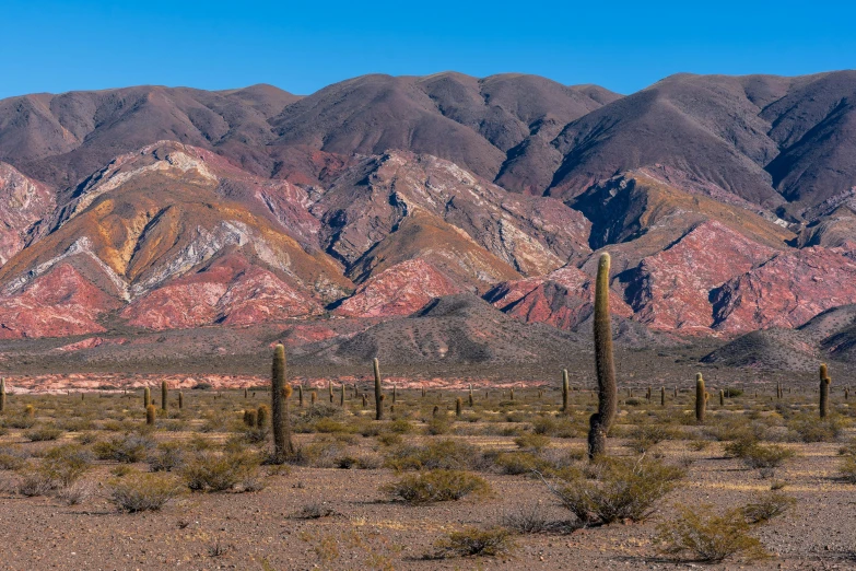 a desert landscape of mountains and cactus trees