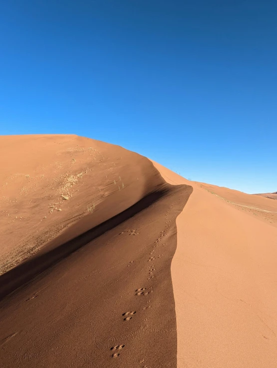 a very tall and sandy hill with a small animal on the top