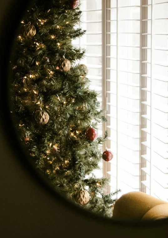 a reflection of a christmas tree in a mirror