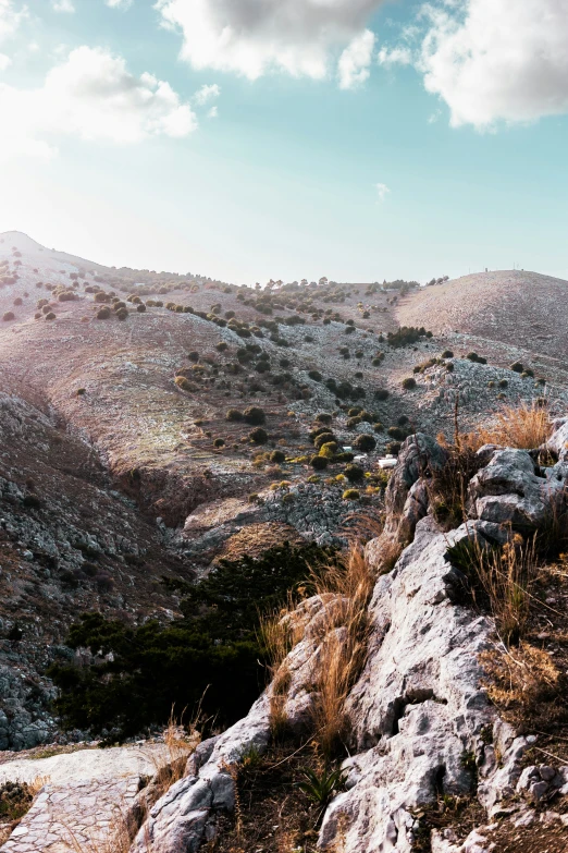 a rocky hillside with some rocks and dry grass