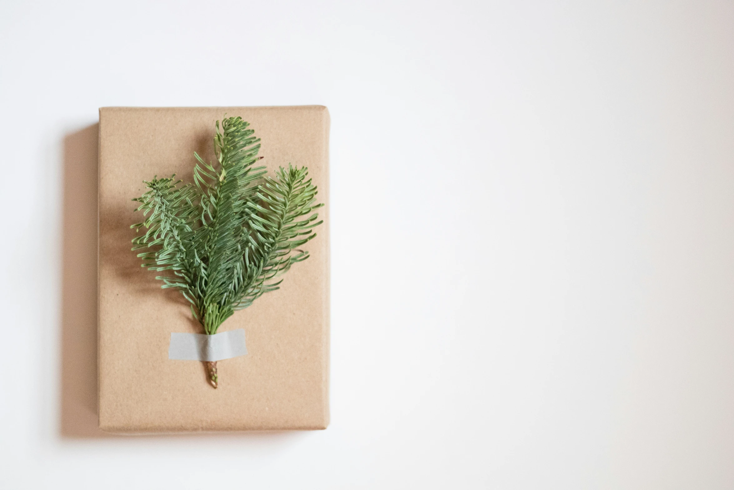 a box covered in wax paper with a plant on it