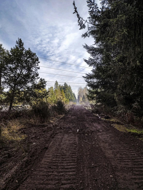 dirt road in woods with trees and sky