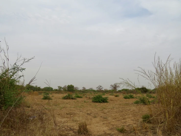 the view from a distance with a brown dirt field and bushes