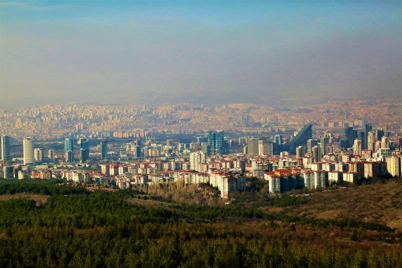 city seen from a hill in the middle of a forest