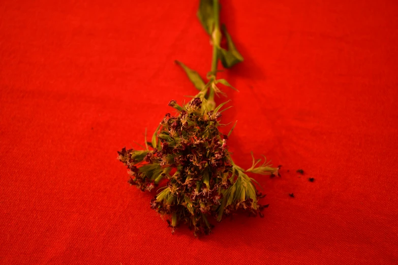 a bouquet of flowers on a red cloth