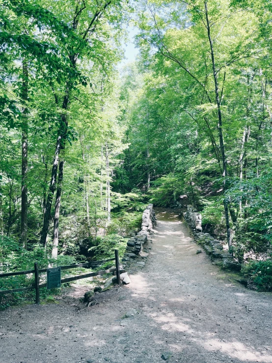 a road that is surrounded by trees