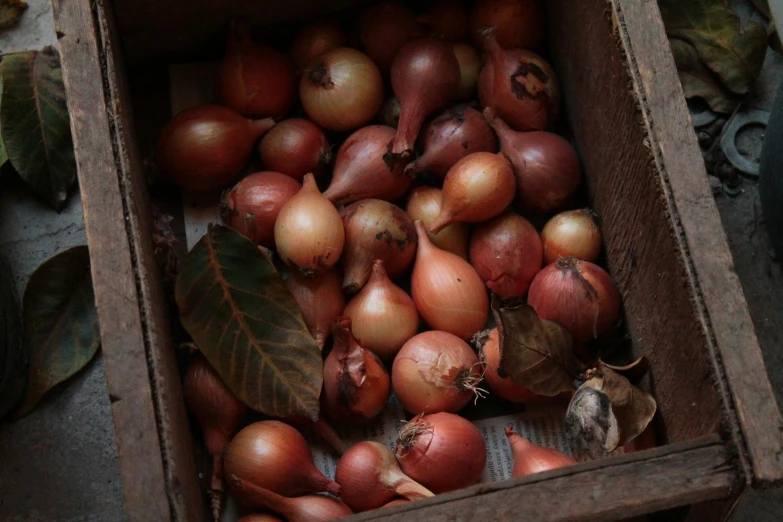 a close - up of a crate filled with onions