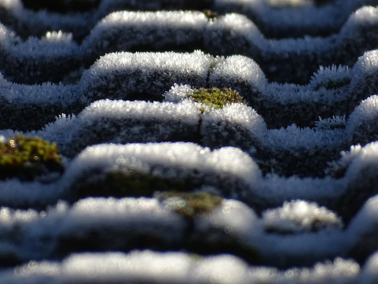 a pattern made up of grass and some snow