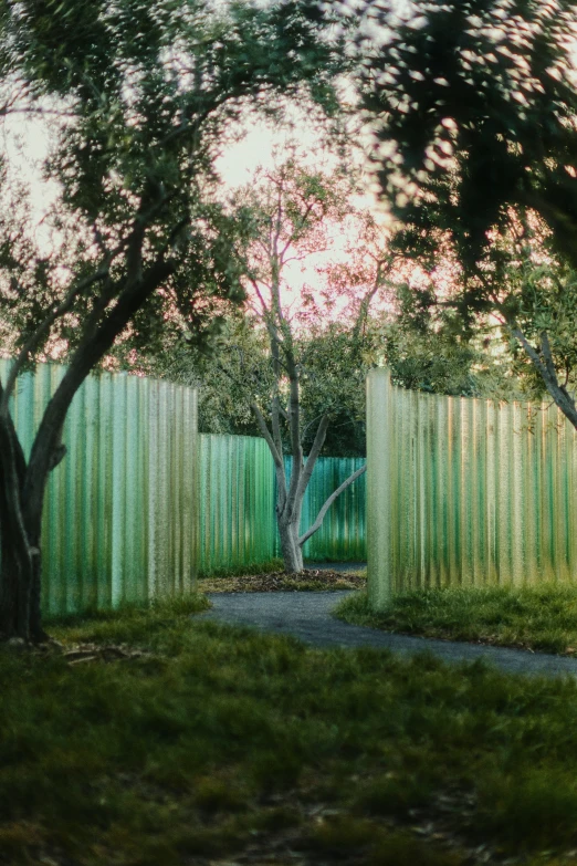 a tree that is standing in front of a fence