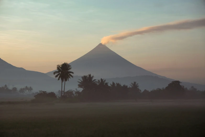 a mountain with some trees and bushes in the foreground