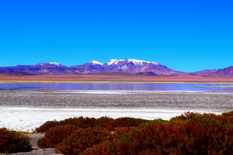 a wide open plain with mountains and water and shrubs